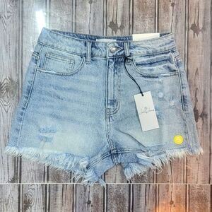 High Rise Distressed Shorts